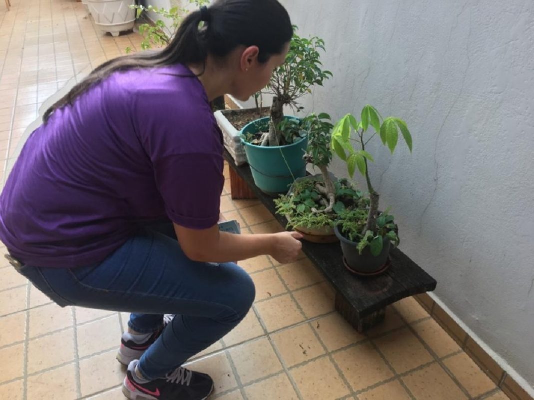 Águas Lindas avança com ações preventivas contra dengue e chikungunya