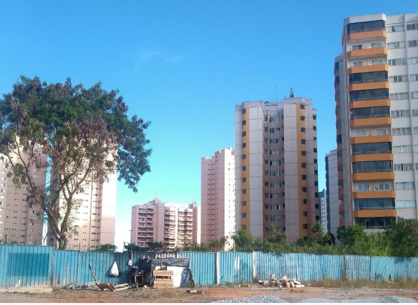 Vizinhos a shopping, casais em situação de rua em Águas Claras vivem expostos a ratos