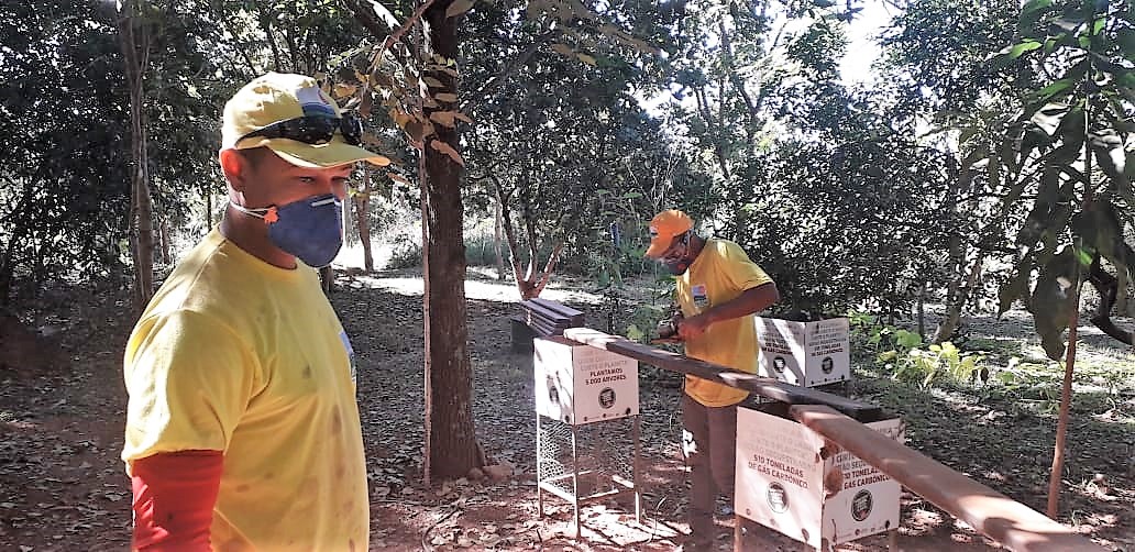 Força-tarefa no Parque Olhos D’Água está em ritmo acelerado