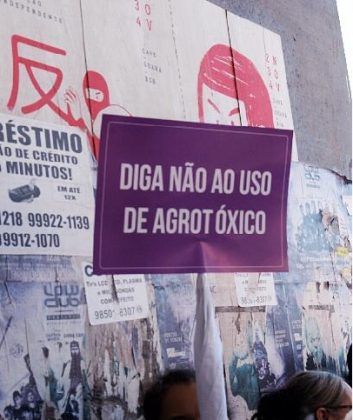 Marcha das Margaridas: trabalhadoras criticam agrotóxicos e pedem responsabilidade ambiental