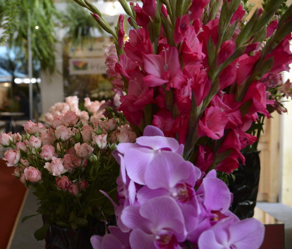 Começa a FestFlor: evento deve render R$ 3 milhões em negócios