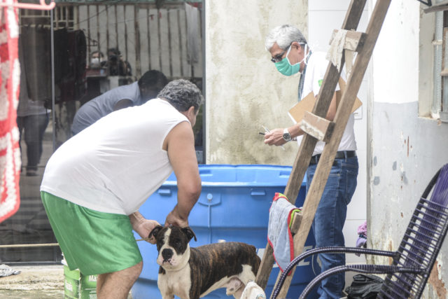 Quatro regiões recebem força-tarefa contra o Aedes aegypti
