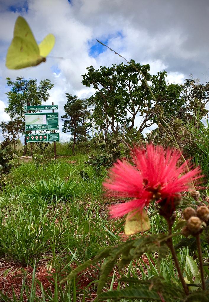 Parques do DF vão ganhar identificação e sinalização interna