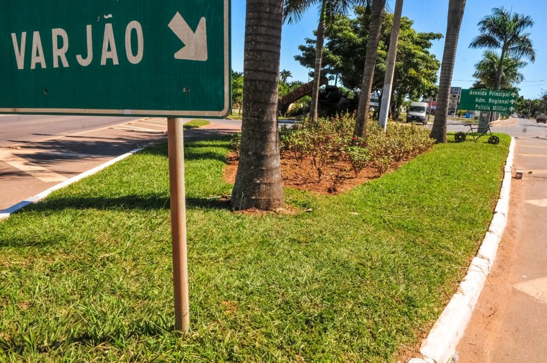 Novacap planta mais de 60 mil m² de grama no DF Novacap planta mais de 60 mil m² de grama no DF