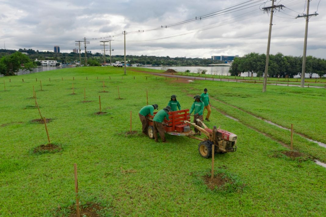 Sema recupera orla do Paranoá e áreas de preservação do Distrito Federal