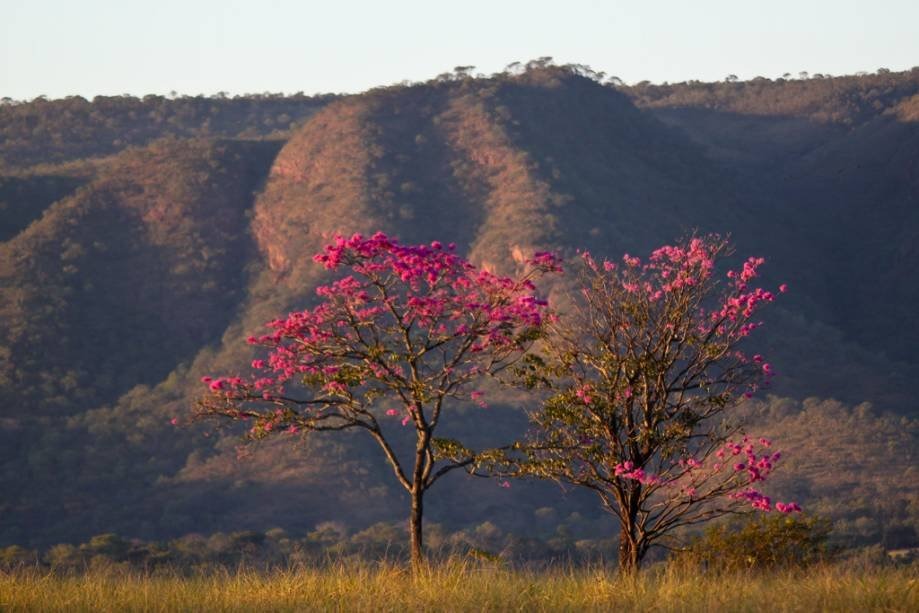 Governo de Goiás promove concurso fotográfico para celebrar 50 anos do Parque Estadual Serra de Caldas