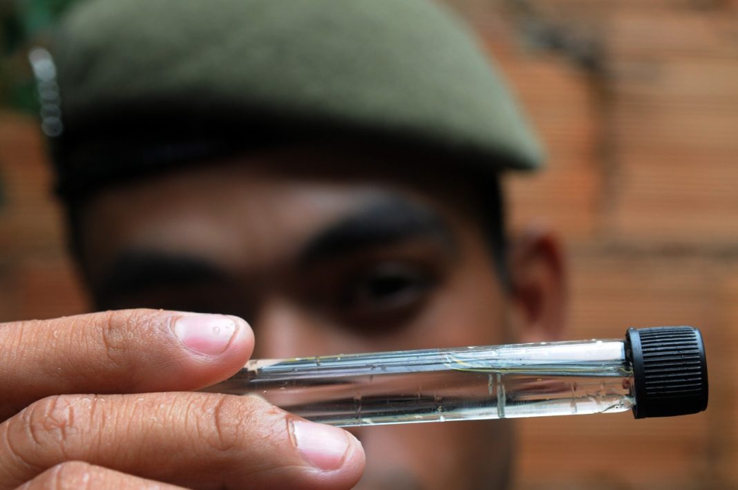 Exército reforça enfrentamento à dengue no Jardim Botânico