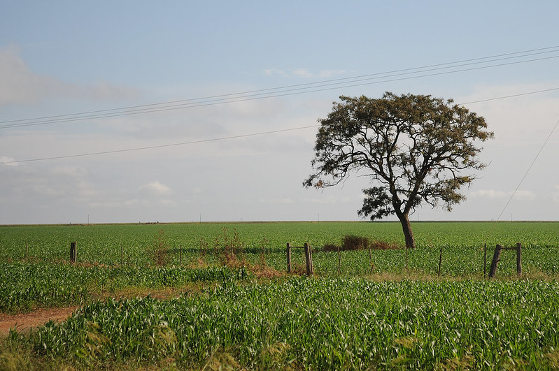 Agricultura, o caminho para o crescimento Agricultura, o caminho para o crescimento