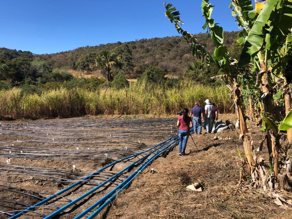 Secretaria analisa benefícios da água magnetizada na agricultura