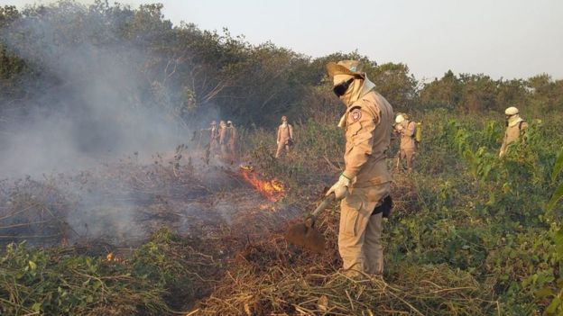 Atenção vestibulandos: amanhã tem live do Objetivo sobre as queimadas no pantanal Atenção vestibulandos: amanhã tem live do Objetivo sobre as queimadas no pantanal