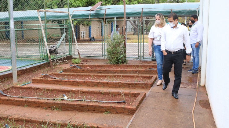 Horta, pedagogia e consciência ambiental Horta, pedagogia e consciência ambiental