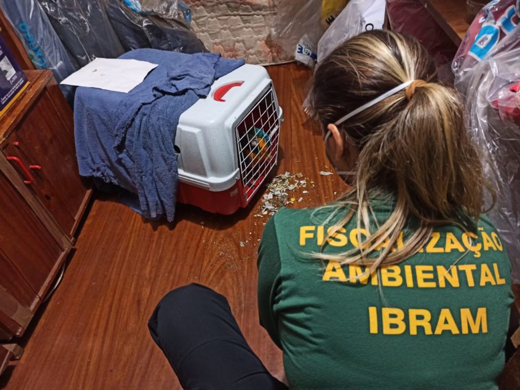 Lei: mais rigidez para quem maltrata animais