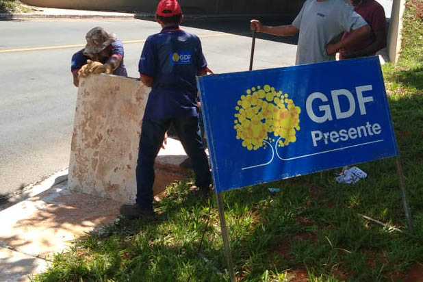 Bueiros de tesourinhas passam por limpeza