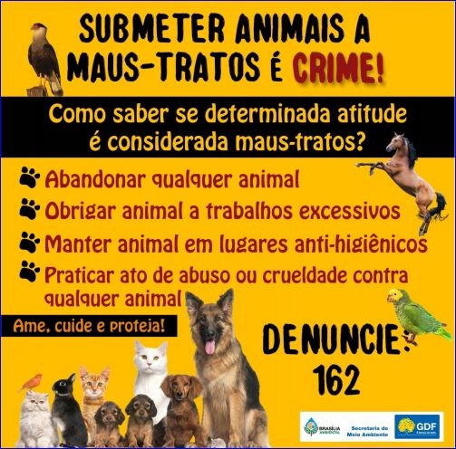 Alertas sobre maus-tratos a animais e poluição sonora Alertas sobre maus-tratos a animais e poluição sonora