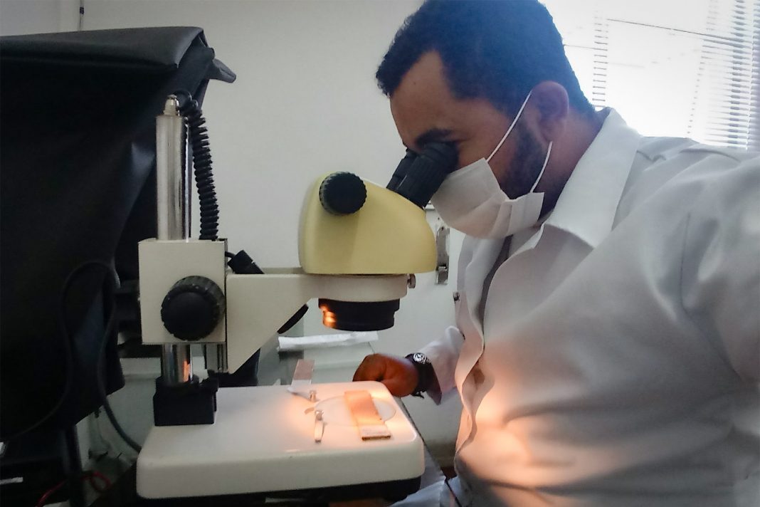 Produtos químicos domésticos inibem larvas do Aedes aegypti