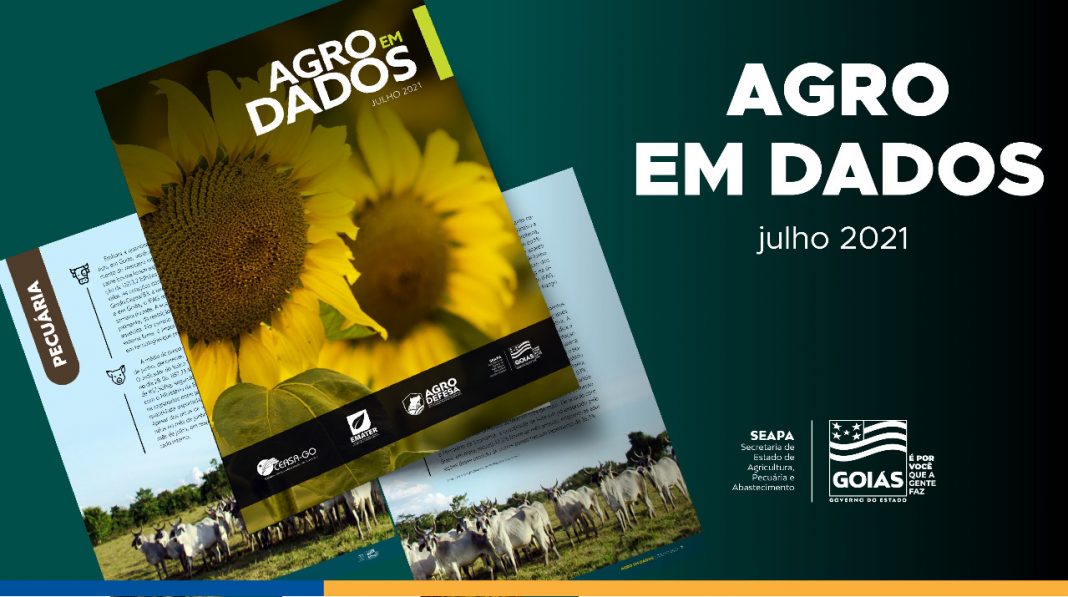 Goiás é responsável por 70% da produção nacional de girassol Goiás é responsável por 70% da produção nacional de girassol