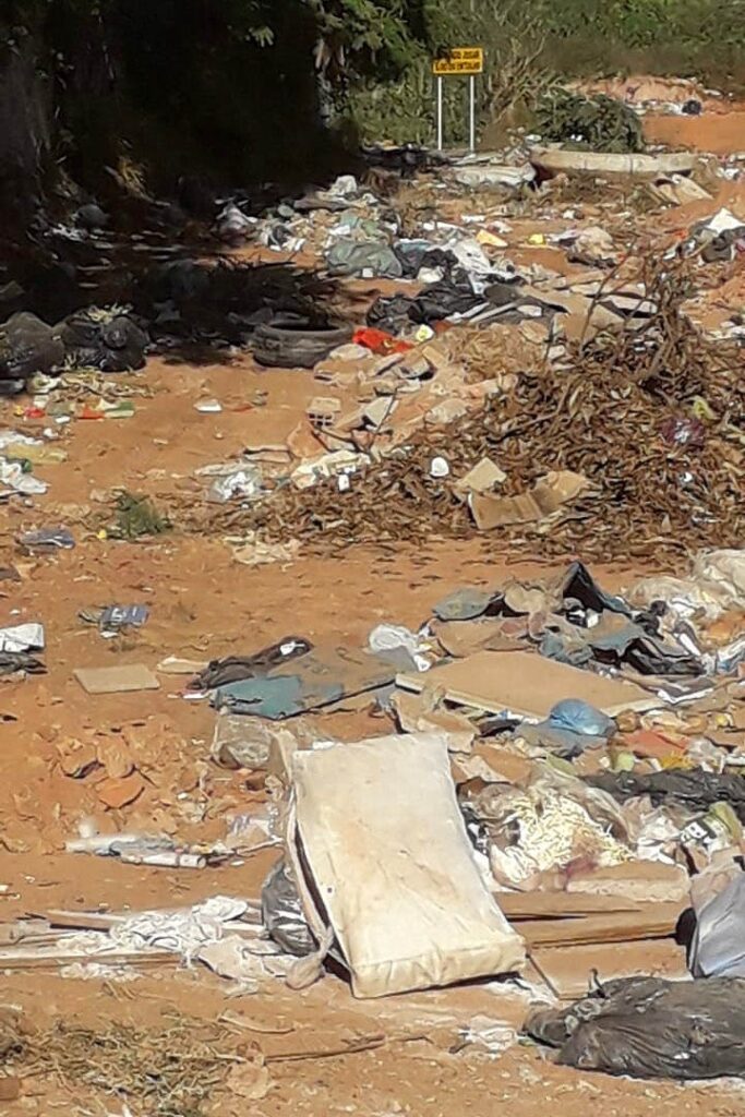 Mais de 220 toneladas de lixo retiradas do Guará