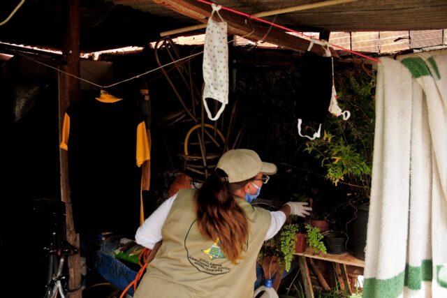 DF continua registrando queda nos casos de dengue DF continua registrando queda nos casos de dengue