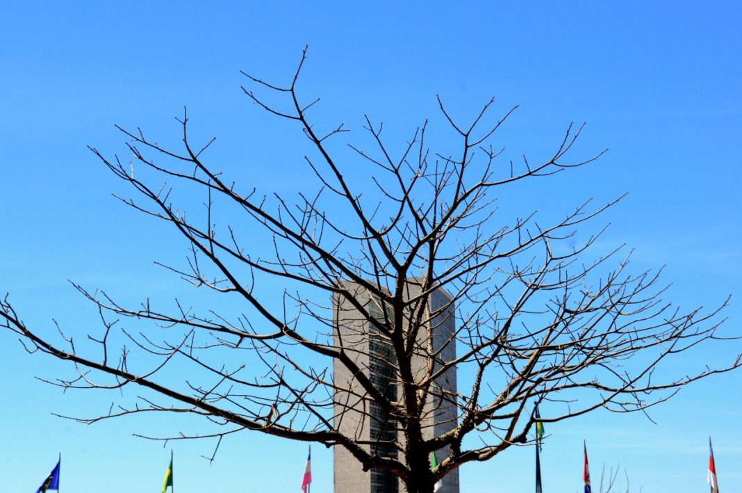 Asmáticos sofrem mais no período da seca