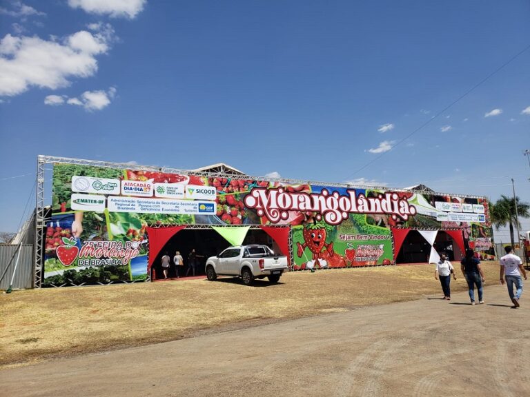 Morangolândia tem 40 estandes de produtores de morango do DF