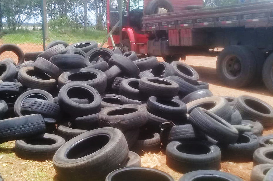 Menos 600 pneus e 86 toneladas de lixo em Santa Maria e Gama Menos 600 pneus e 86 toneladas de lixo em Santa Maria e Gama