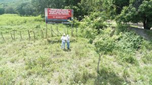 Primeira usina solar com recursos de dinheiro digital do Brasil traz ganha-ganha para consumidores de energia elétrica e compradores da criptomoeda