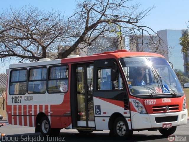 Ônibus ‘Zebrinha’ voltam a circular em quatro cidades