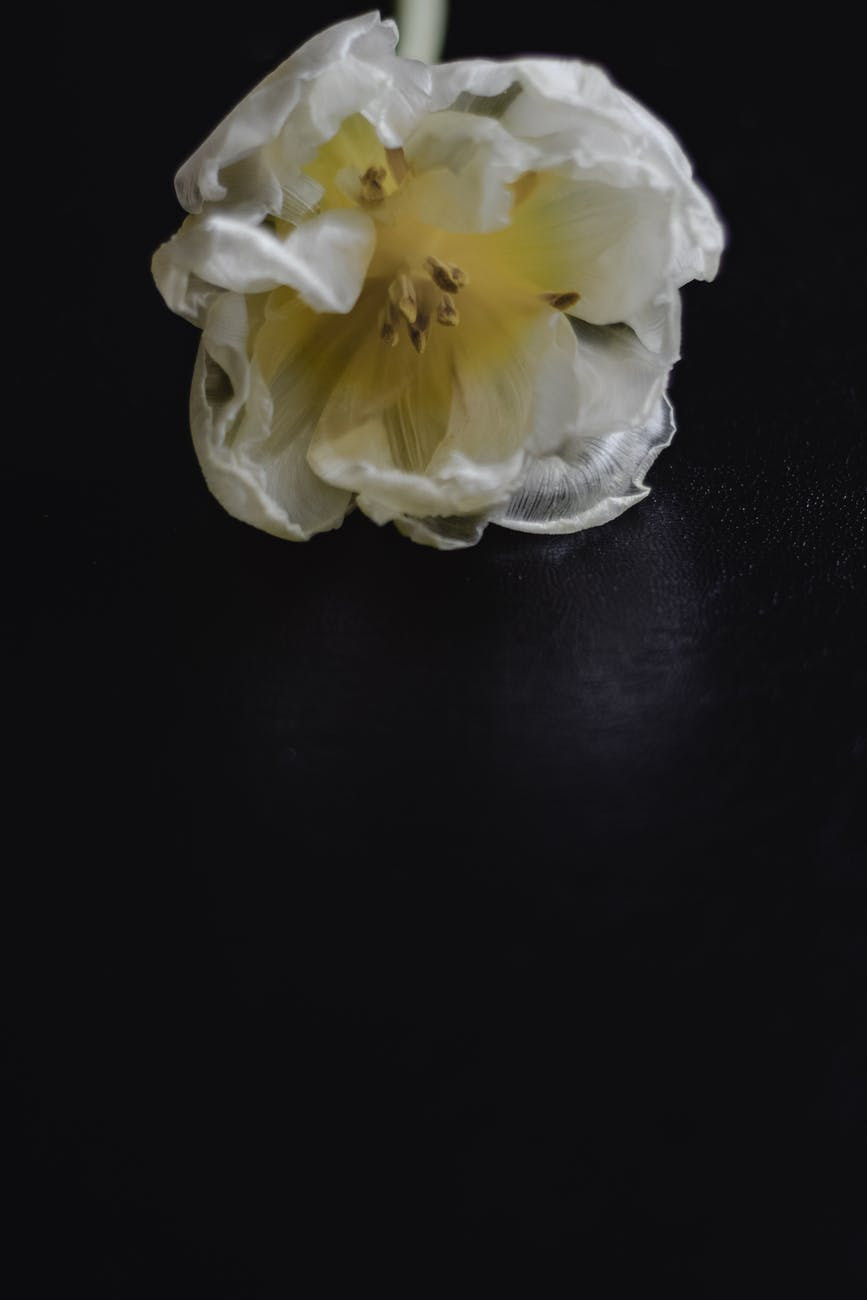 unnamed