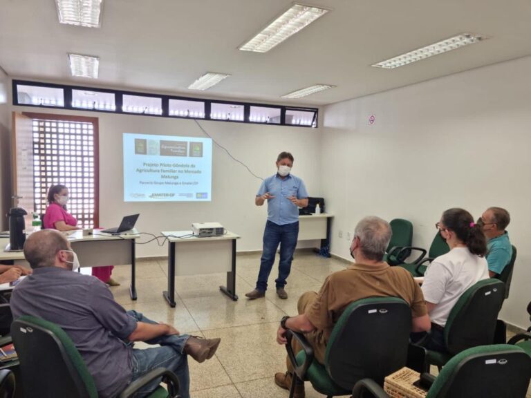 Mercado de orgânicos abre as portas para agricultura familiar