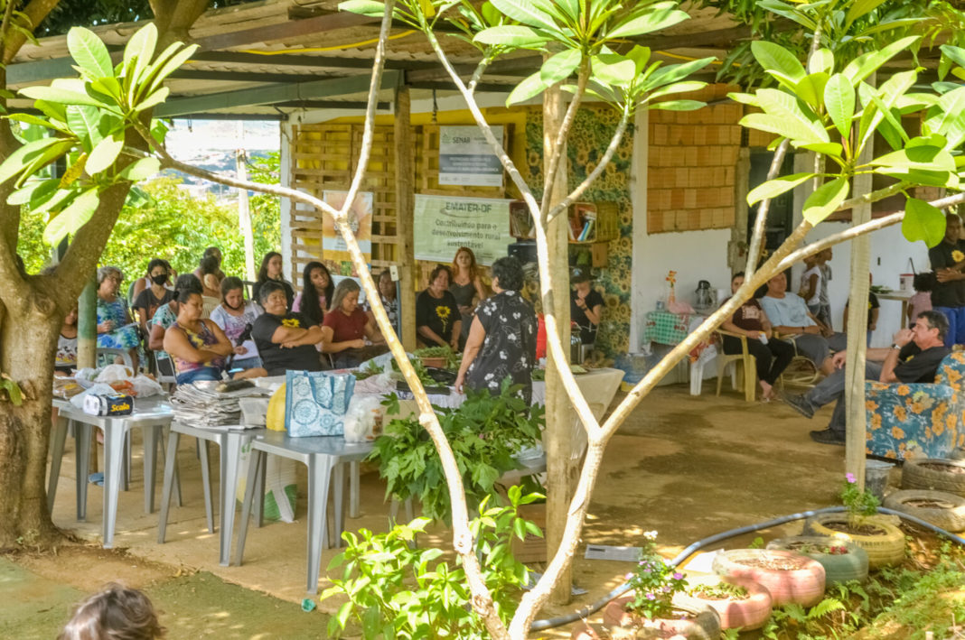 Horta comunitária tem cursos sobre alimentação saudável e de baixo custo Horta comunitária tem cursos sobre alimentação saudável e de baixo custo