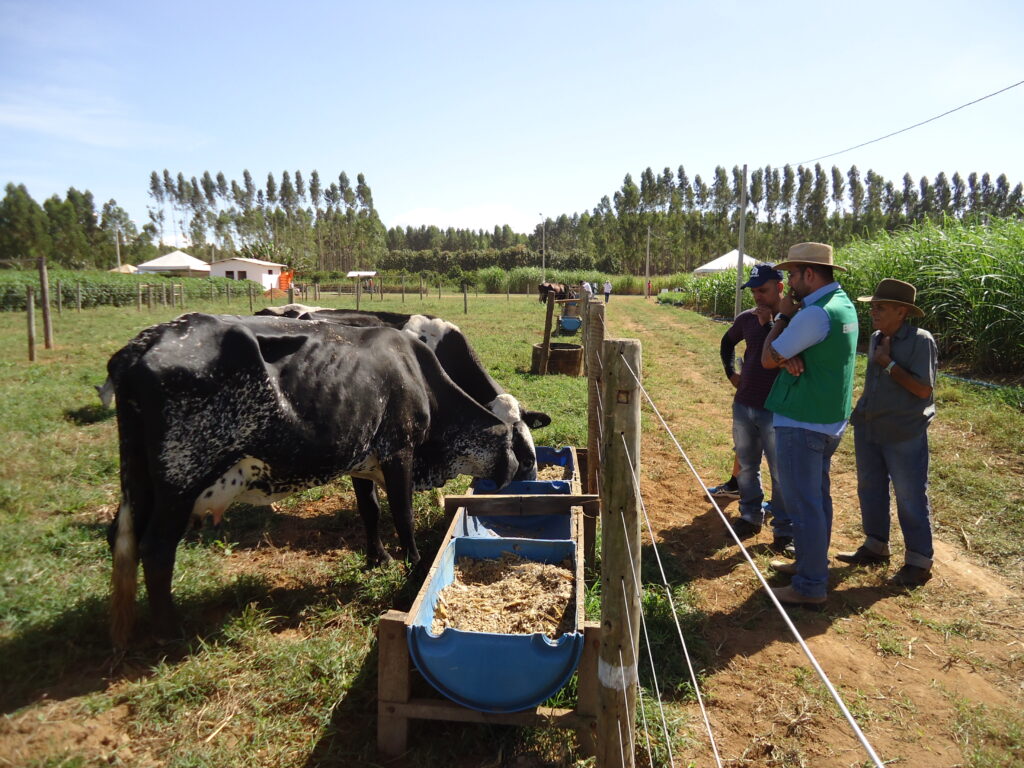 Opções de nutrição e manejo de bovinos são destaque na AgroBrasília Opções de nutrição e manejo de bovinos são destaque na AgroBrasília