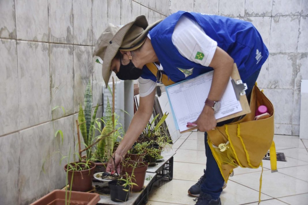 GDF recebe 10 mil novos testes de dengue e projeta queda nos casos