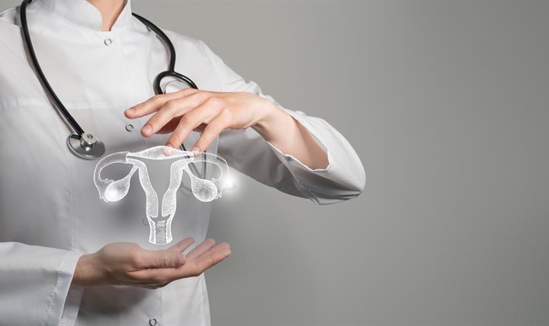 Síndrome do ovário policístico: o que é, como diagnosticar e tratamento indicado para a doença