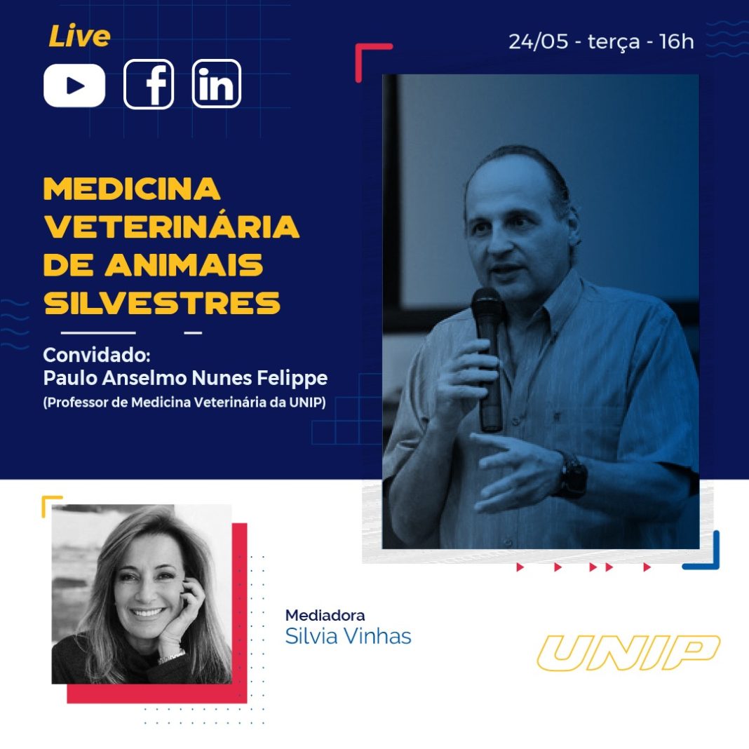 Vestibulando, conheça, em live da UNIP, tudo sobre a Medicina Veterinária voltada a animais silvestres