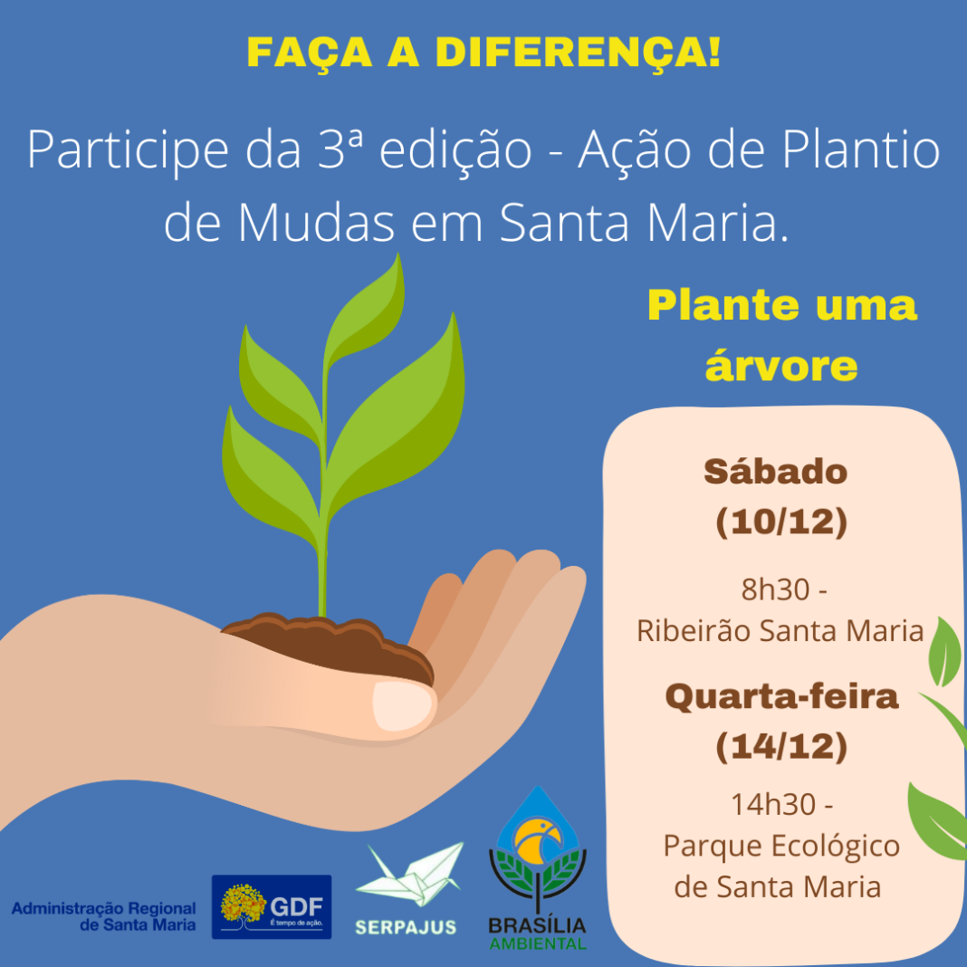 3ª edição da Ação de Plantio de Mudas em Santa Maria