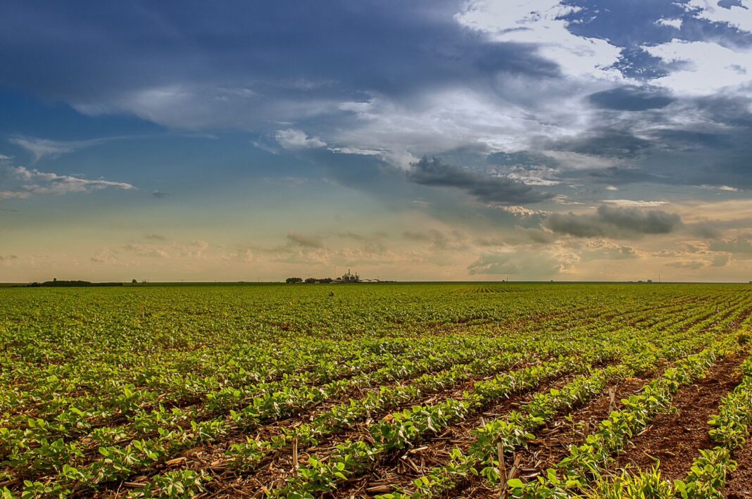 Fundeinfra terá alíquotas de 0,50% a 1,65% para agropecuários Fundeinfra terá alíquotas de 0,50% a 1,65% para agropecuários