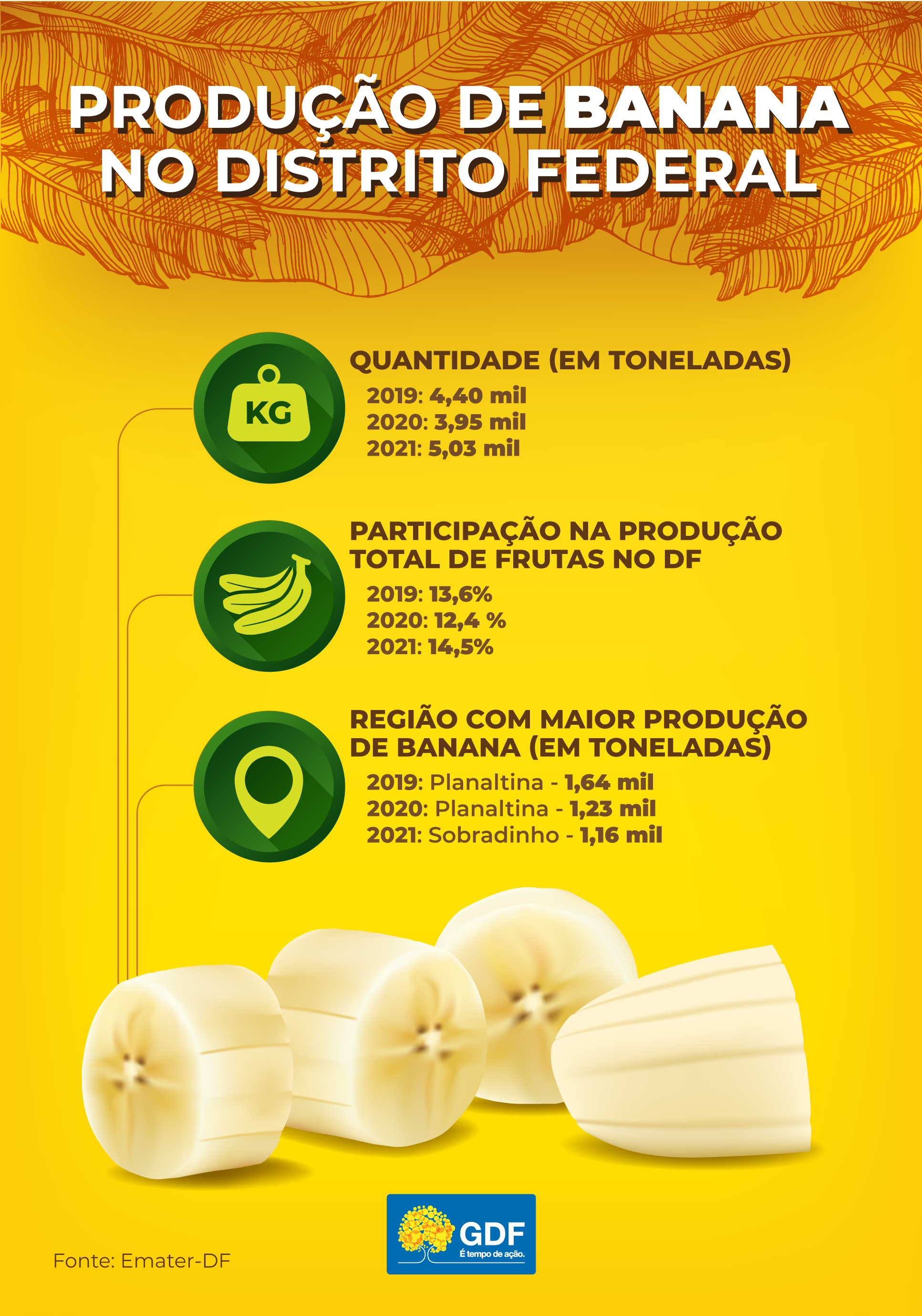 Yes, o DF produz muita banana! Foram mais de 5 mil toneladas este ano