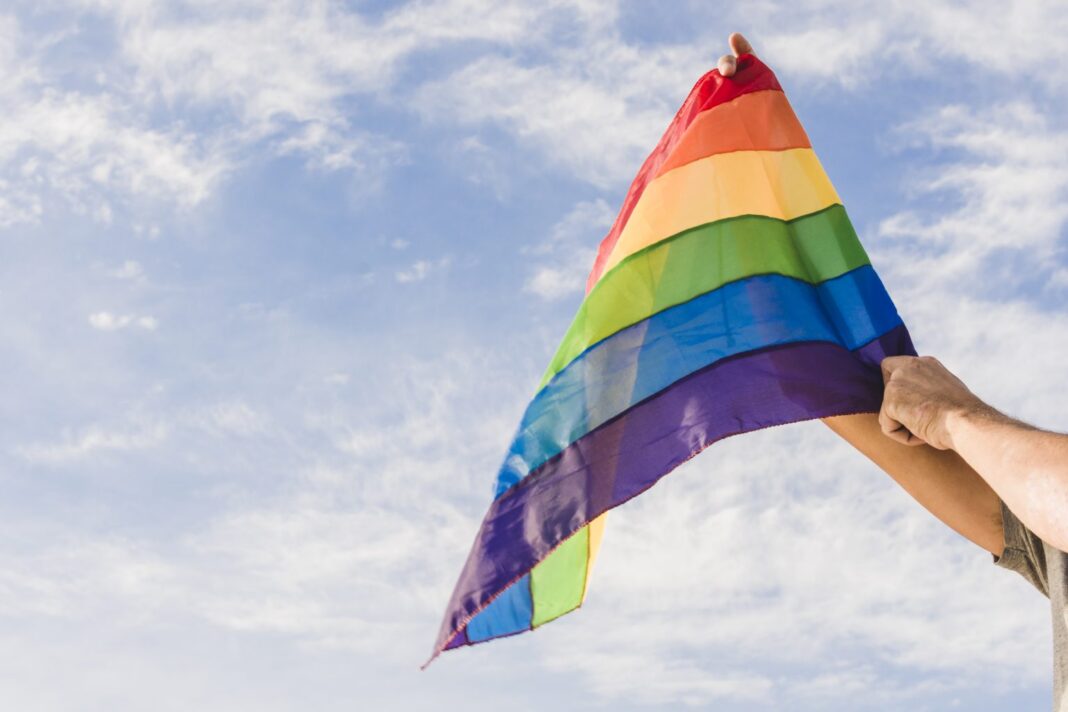 Eleições marcaram aumento da representação de pessoas LGBT+ na política, mas especialistas alertam para desafios Eleições marcaram aumento da representação de pessoas LGBT+ na política, mas especialistas alertam para desafios