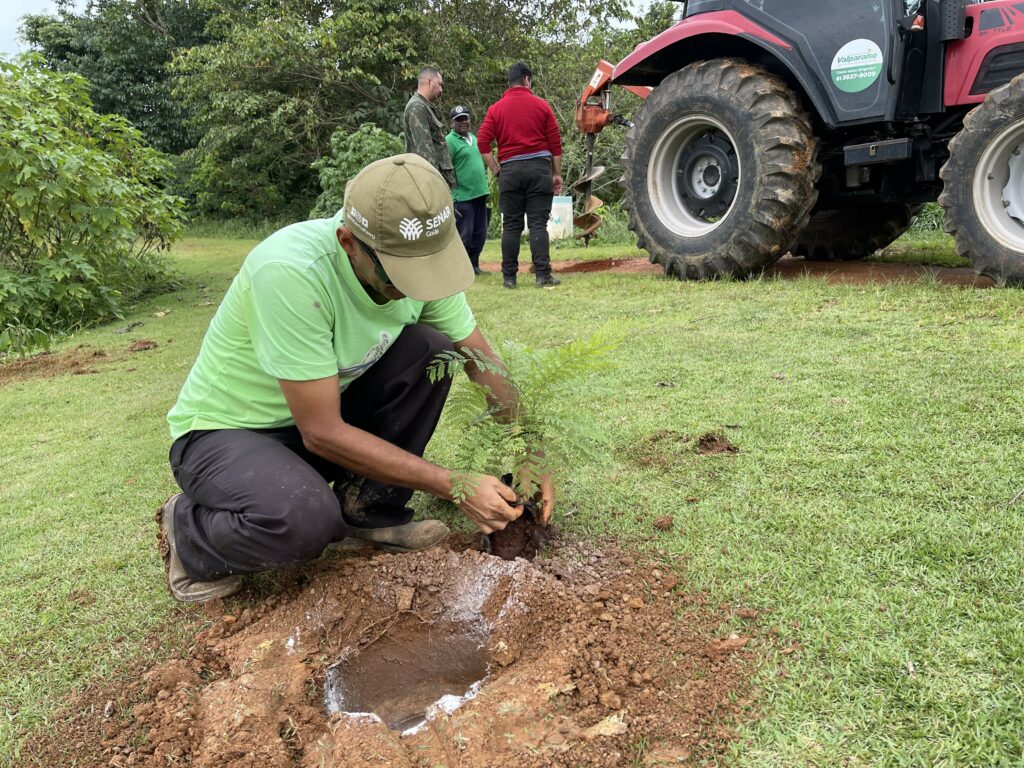 Meio ambiente inicia plantio de mais de 1.100 mudas de árvores Meio ambiente inicia plantio de mais de 1.100 mudas de árvores