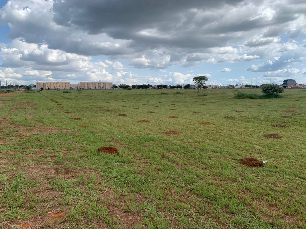 Carnaval com o plantio de 17 mil mudas no Parque Ecológico do RiachoFundo Carnaval com o plantio de 17 mil mudas no Parque Ecológico do RiachoFundo
