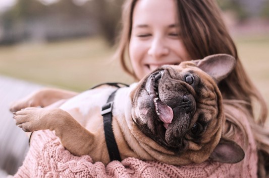 Oportunidades de trabalho no carnaval: doghero é opção para quem deseja renda extra Oportunidades de trabalho no carnaval: doghero é opção para quem deseja renda extra