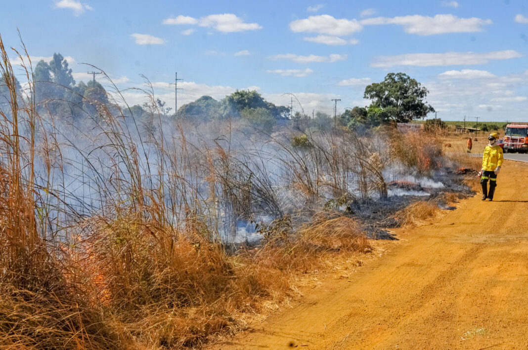 DF ficará em estado de emergência ambiental devido aos incêndios florestais DF ficará em estado de emergência ambiental devido aos incêndios florestais