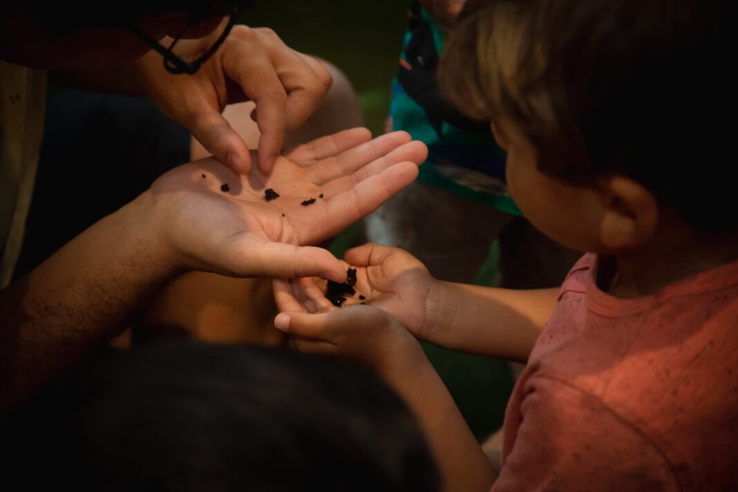 Programação infantil do Conjunto Nacional terá oficinas sustentáveis e contação de histórias nesse fim de semana Programação infantil do Conjunto Nacional terá oficinas sustentáveis e contação de histórias nesse fim de semana