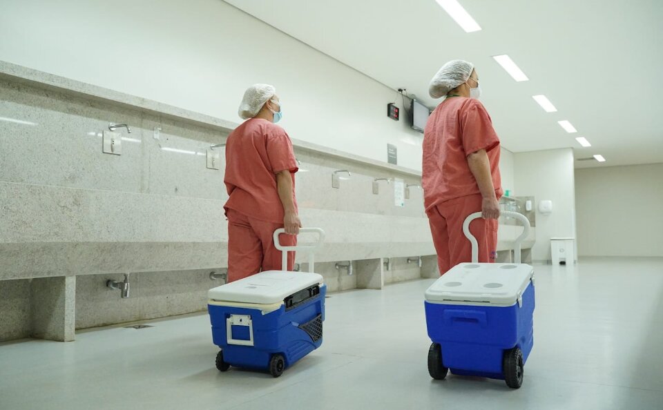SES avança em transplantes de órgãos no primeiro bimestre de 2023 SES avança em transplantes de órgãos no primeiro bimestre de 2023