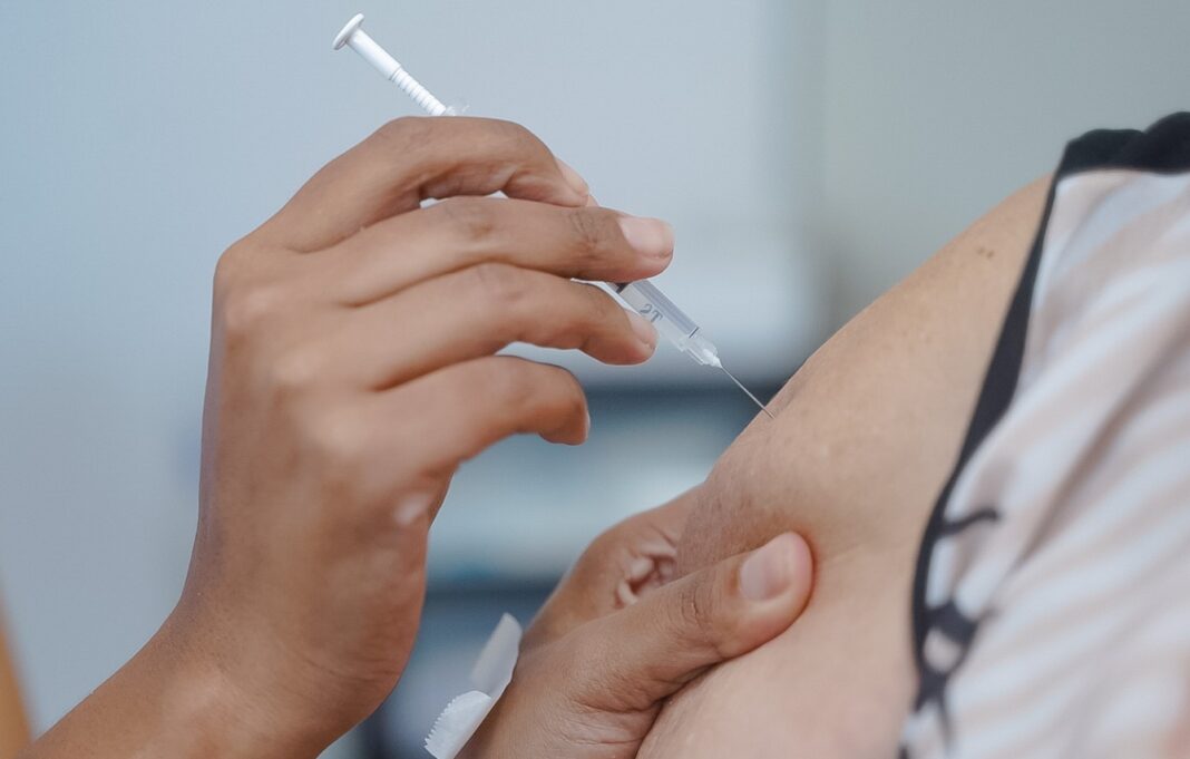 SES apresenta, nesta sexta-feira, balanço da vacinação contra influenza em Goiás SES apresenta, nesta sexta-feira, balanço da vacinação contra influenza em Goiás