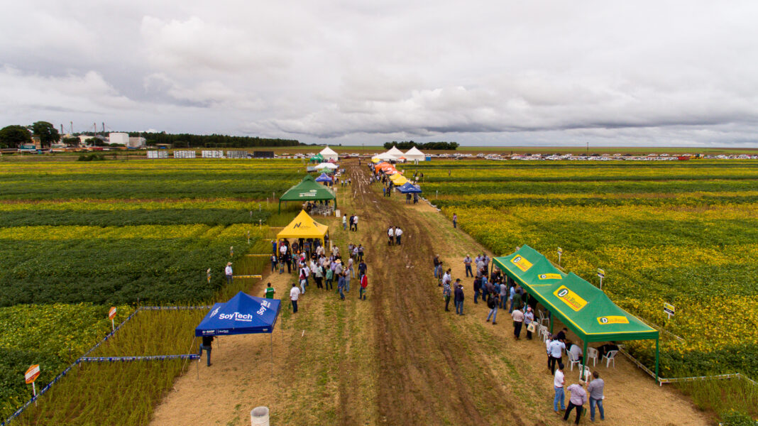 Dia de Campo da Competição de Cultivares de Soja da AgroBrasília 2024 terá 16 empresas que apresentarão 64 materiais
