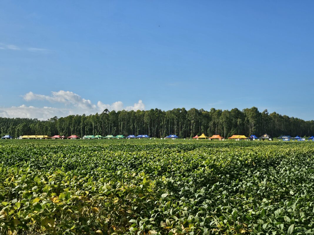 AgroBrasília e Equilíbrio Fertilizantes celebram a parceria de sucesso no Dia de Campo de Cultivares de Soja em 2024
