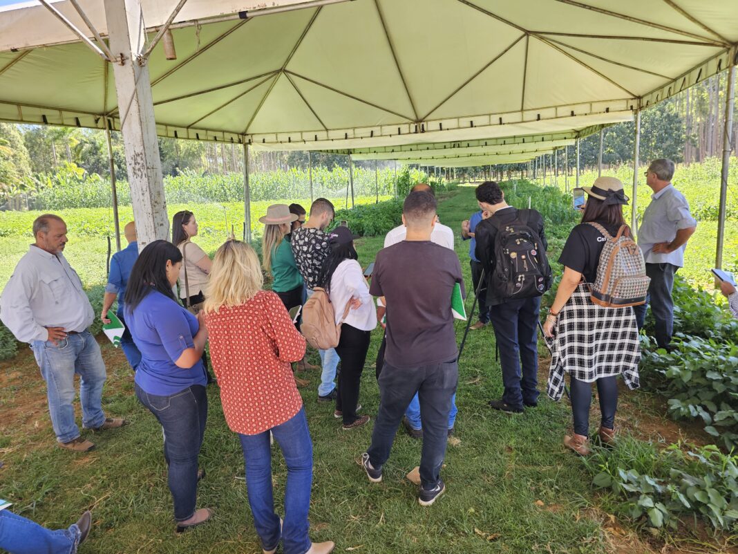 AgroBrasília 2024: Dia de Campo para jornalistas apresenta as novidades deste ano para a imprensa