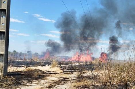 Neoenergia faz alerta para queimadas próximas a rede elétrica do Distrito Federal