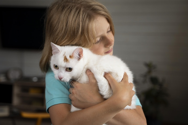 Tem bebê chegando em casa? Confira cuidados indispensáveis para a adaptação do seu pet